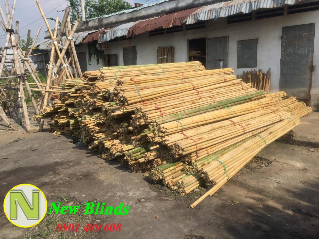 cây tre quận gò vấp 