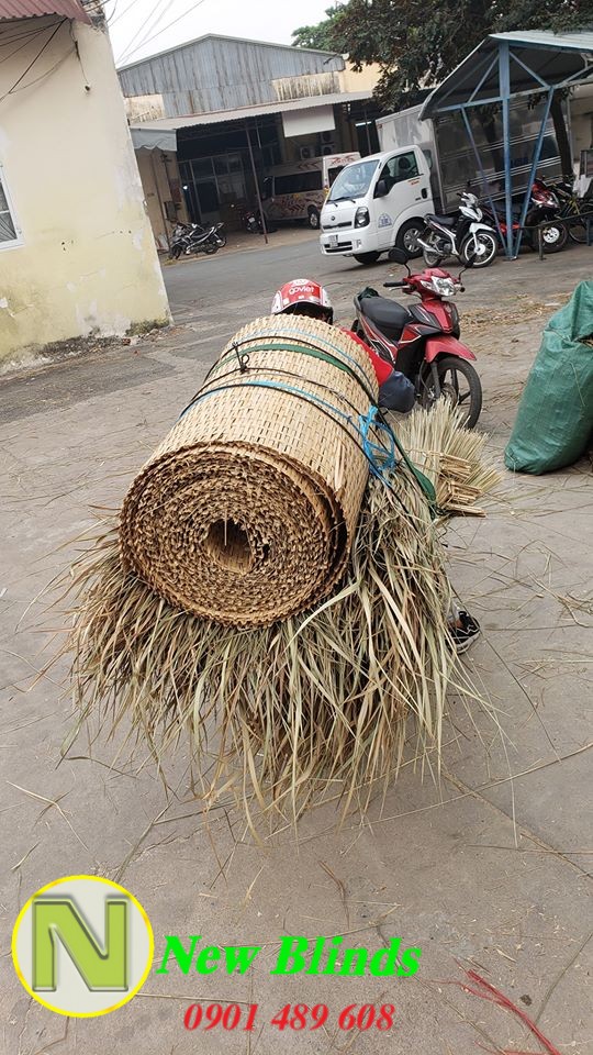 lá cỏ tranh